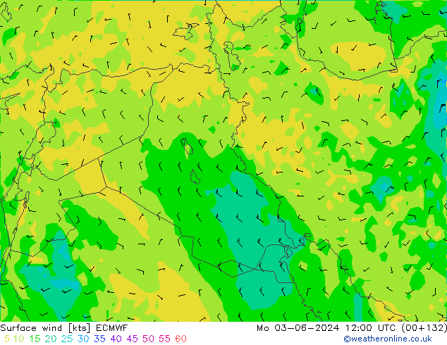 ветер 10 m ECMWF пн 03.06.2024 12 UTC