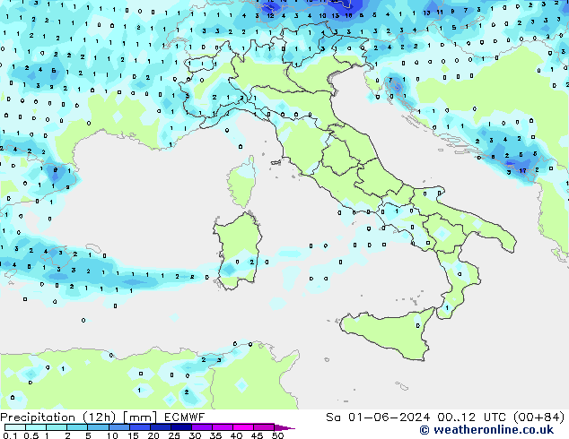 Precipitation (12h) ECMWF So 01.06.2024 12 UTC