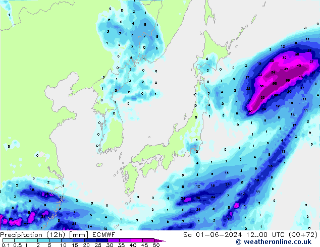 Precipitation (12h) ECMWF Sa 01.06.2024 00 UTC