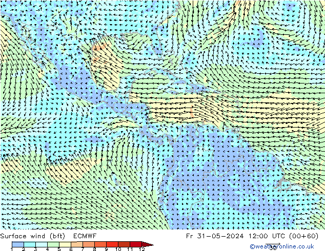 Vento 10 m (bft) ECMWF ven 31.05.2024 12 UTC