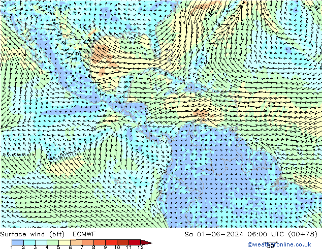  10 m (bft) ECMWF  01.06.2024 06 UTC