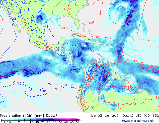 Yağış (12h) ECMWF Pzt 03.06.2024 12 UTC