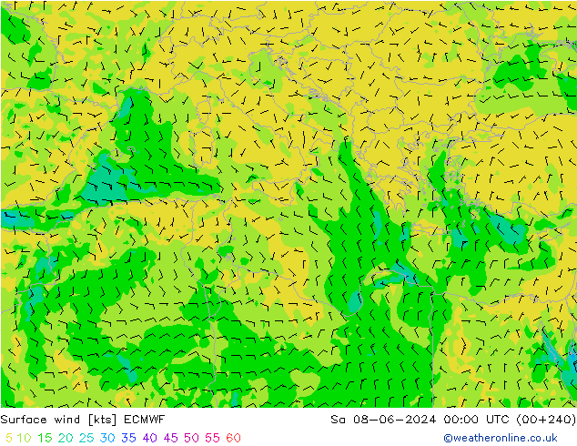 Viento 10 m ECMWF sáb 08.06.2024 00 UTC