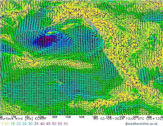 ветер 10 m ECMWF пн 03.06.2024 12 UTC