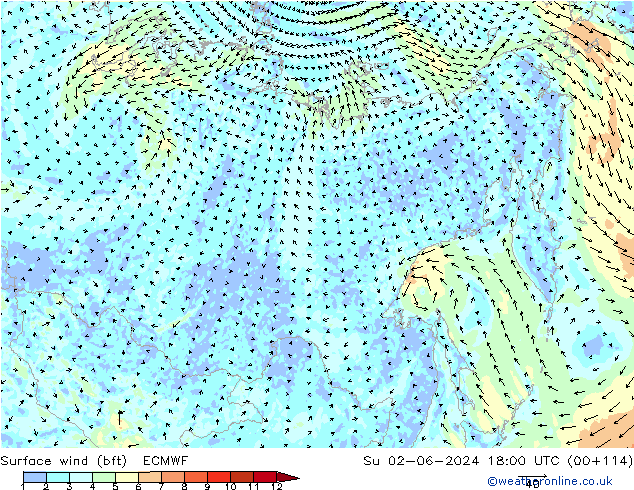 Surface wind (bft) ECMWF Ne 02.06.2024 18 UTC