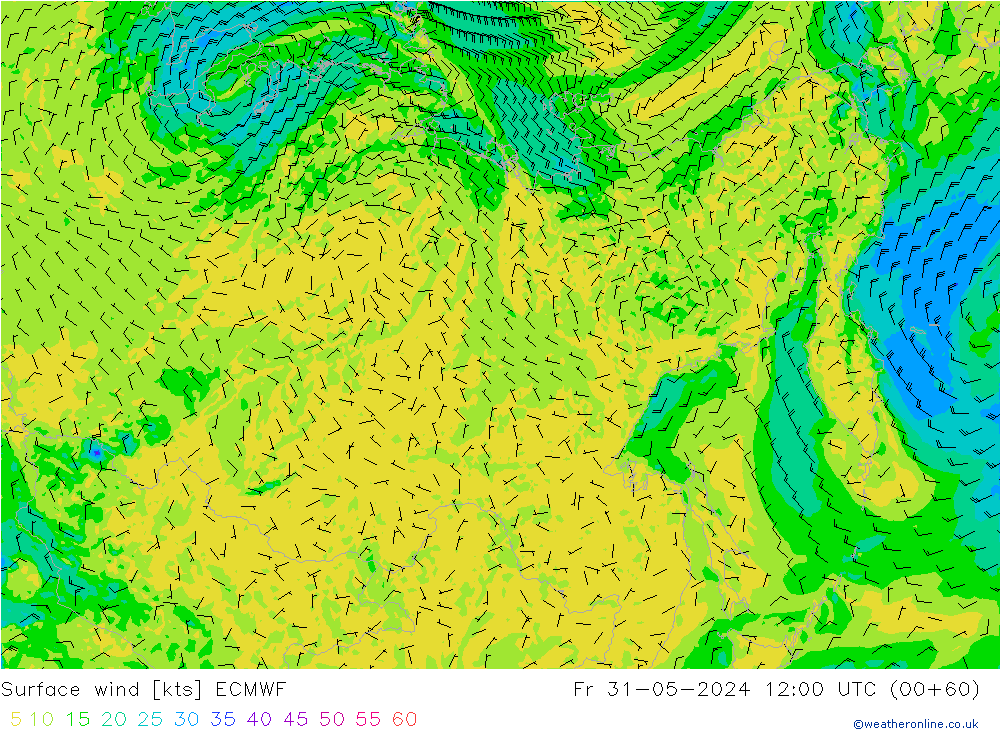 Bodenwind ECMWF Fr 31.05.2024 12 UTC