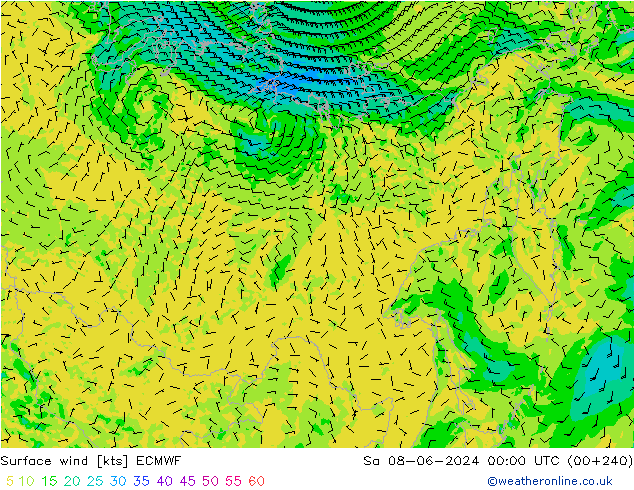 ветер 10 m ECMWF сб 08.06.2024 00 UTC