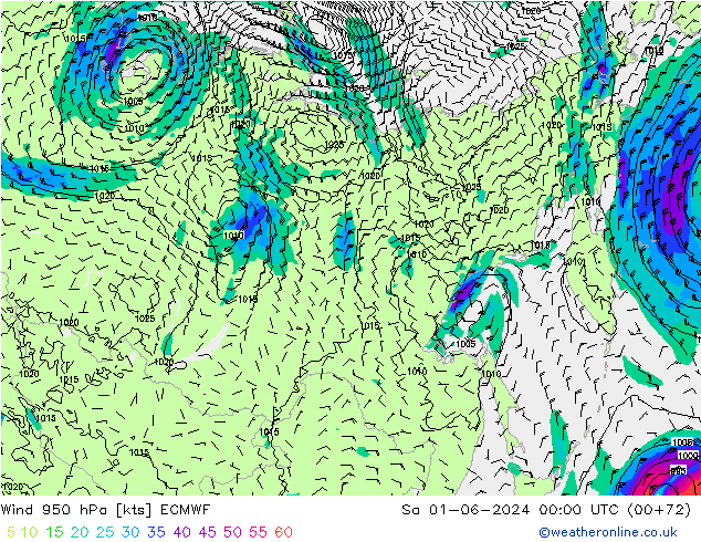 Vento 950 hPa ECMWF Sáb 01.06.2024 00 UTC