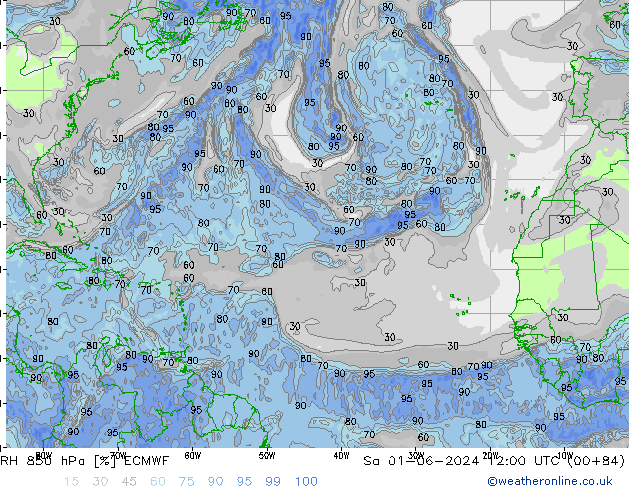 RH 850 hPa ECMWF Sáb 01.06.2024 12 UTC