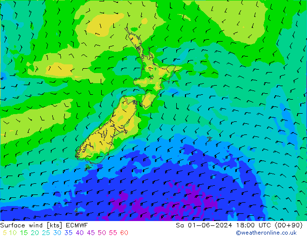 Surface wind ECMWF Sa 01.06.2024 18 UTC