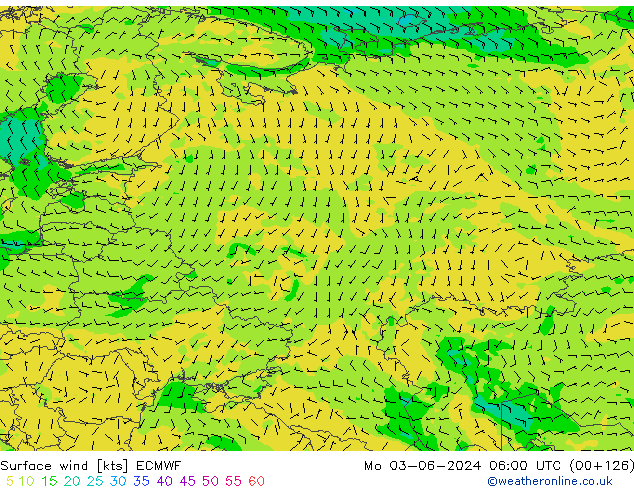  10 m ECMWF  03.06.2024 06 UTC