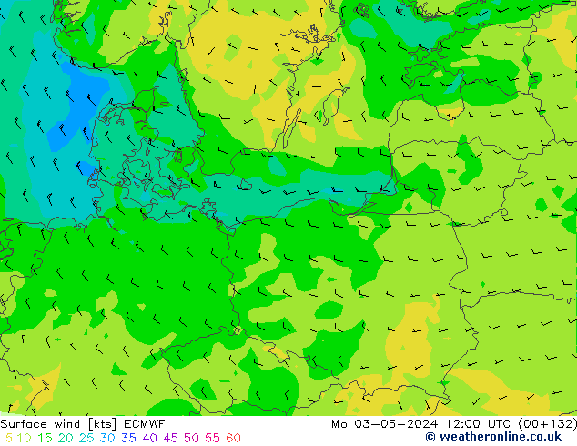 Surface wind ECMWF Mo 03.06.2024 12 UTC