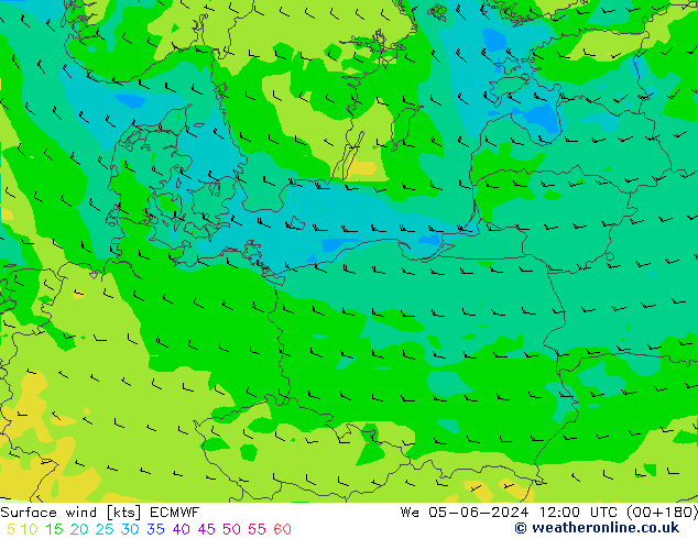 Bodenwind ECMWF Mi 05.06.2024 12 UTC