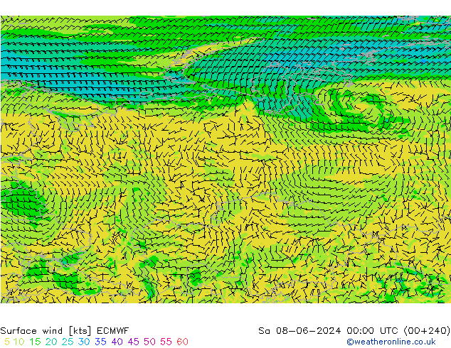 Bodenwind ECMWF Sa 08.06.2024 00 UTC