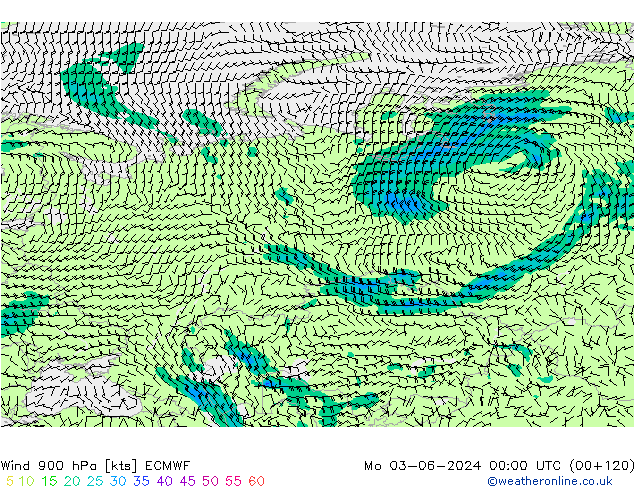  900 hPa ECMWF  03.06.2024 00 UTC