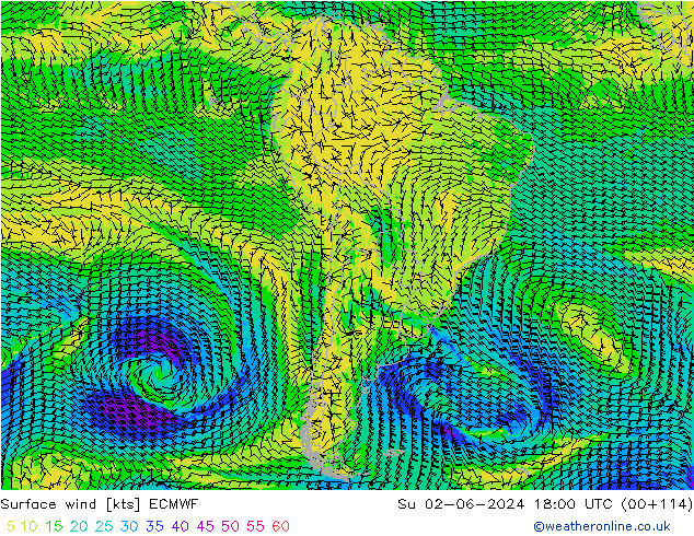 Surface wind ECMWF Su 02.06.2024 18 UTC