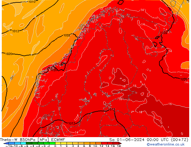 Theta-W 850hPa ECMWF  01.06.2024 00 UTC