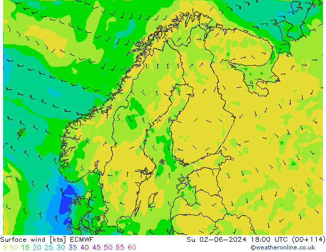Vent 10 m ECMWF dim 02.06.2024 18 UTC