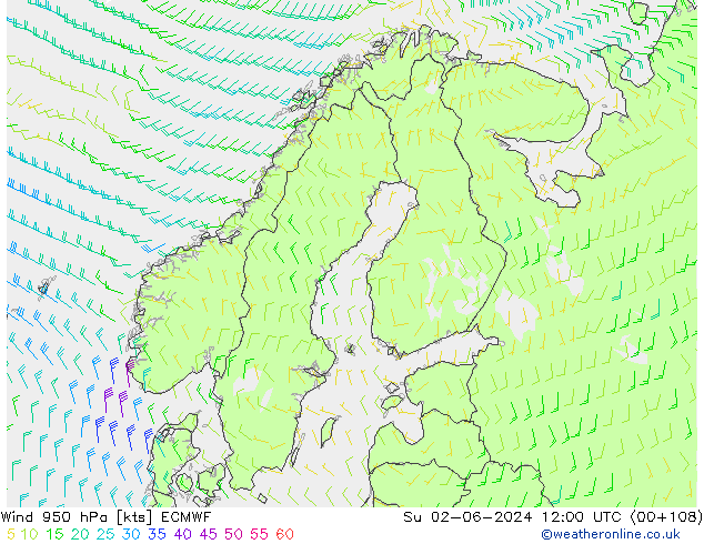 Wind 950 hPa ECMWF Ne 02.06.2024 12 UTC