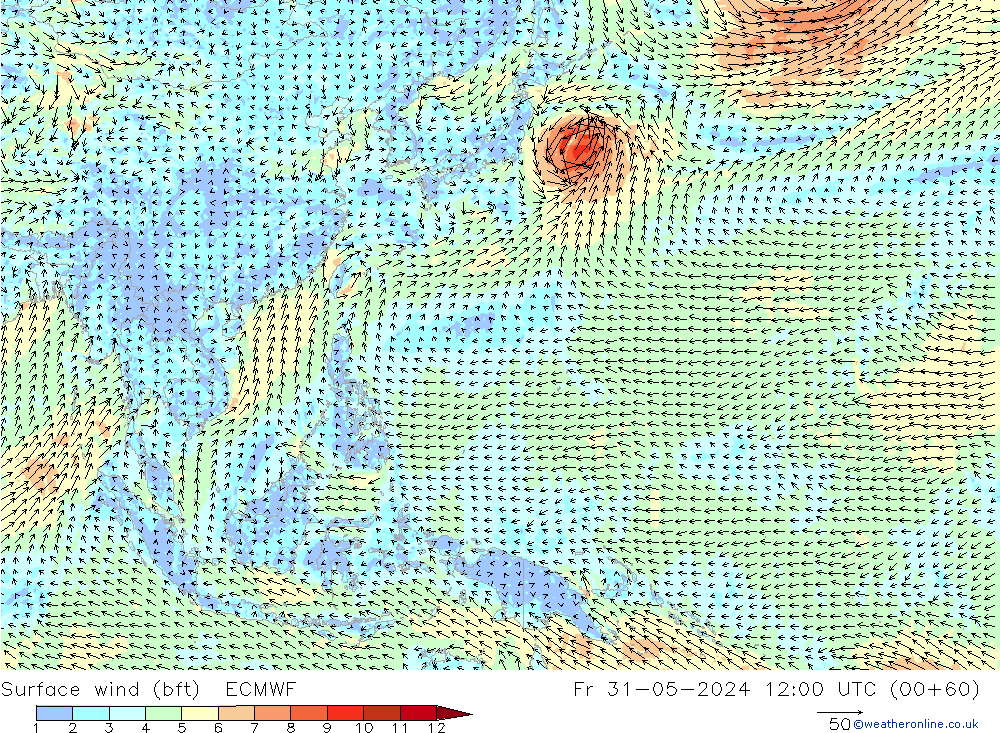 Surface wind (bft) ECMWF Fr 31.05.2024 12 UTC