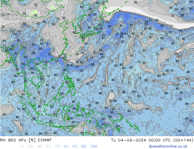 RV 850 hPa ECMWF di 04.06.2024 00 UTC