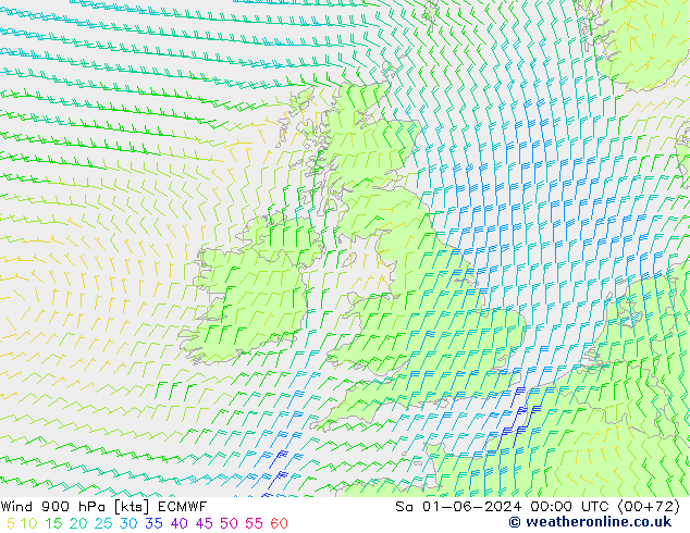 Wind 900 hPa ECMWF So 01.06.2024 00 UTC