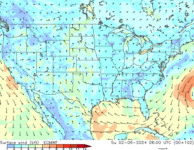 Vento 10 m (bft) ECMWF dom 02.06.2024 06 UTC