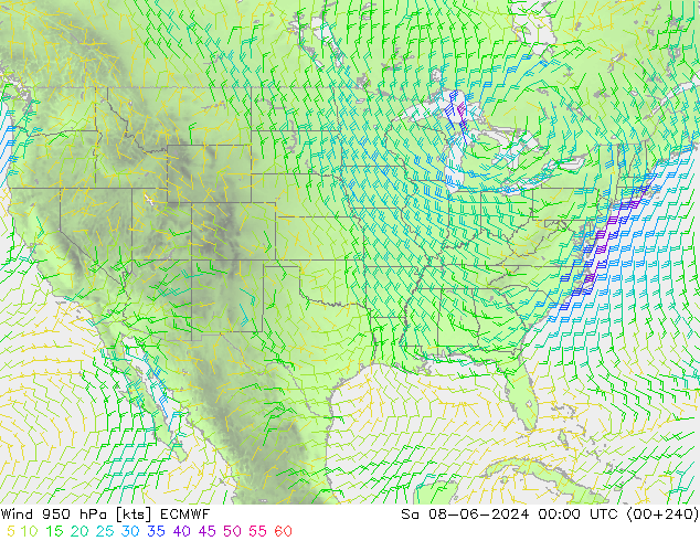 Wind 950 hPa ECMWF Sa 08.06.2024 00 UTC