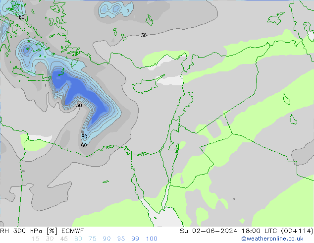 Humedad rel. 300hPa ECMWF dom 02.06.2024 18 UTC