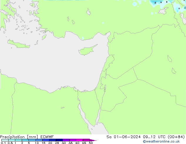 Precipitazione ECMWF sab 01.06.2024 12 UTC