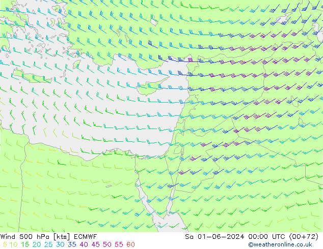 Vent 500 hPa ECMWF sam 01.06.2024 00 UTC