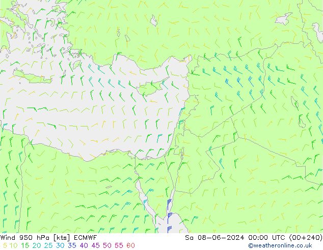 ветер 950 гПа ECMWF сб 08.06.2024 00 UTC