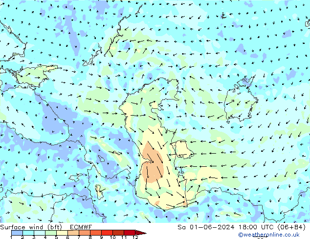 Viento 10 m (bft) ECMWF sáb 01.06.2024 18 UTC