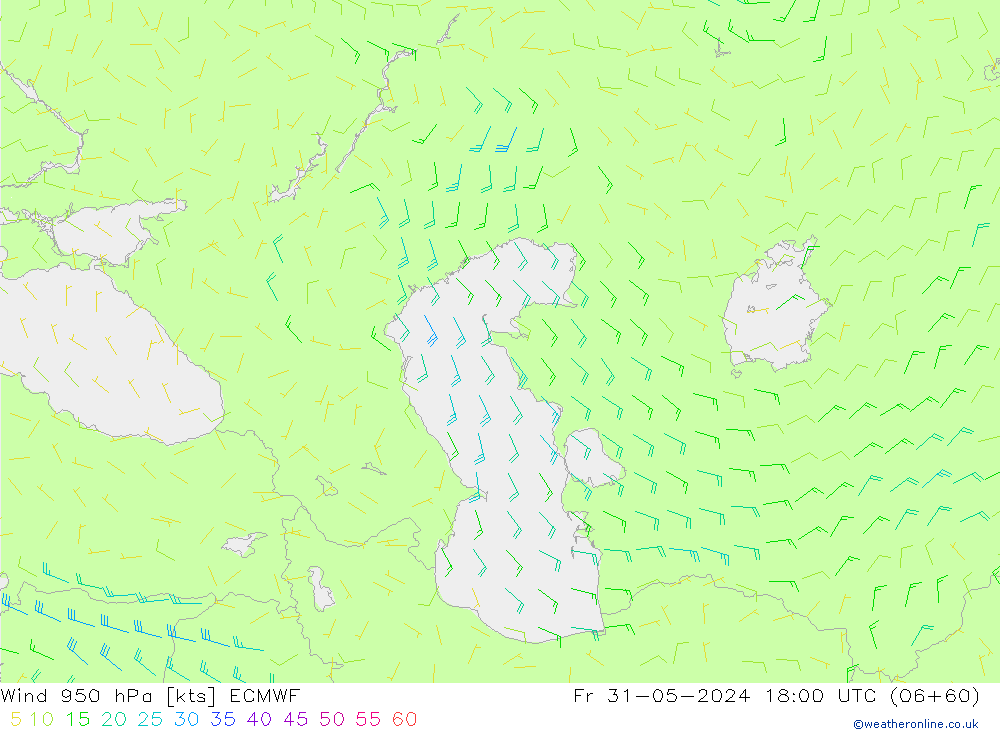 Wind 950 hPa ECMWF Fr 31.05.2024 18 UTC