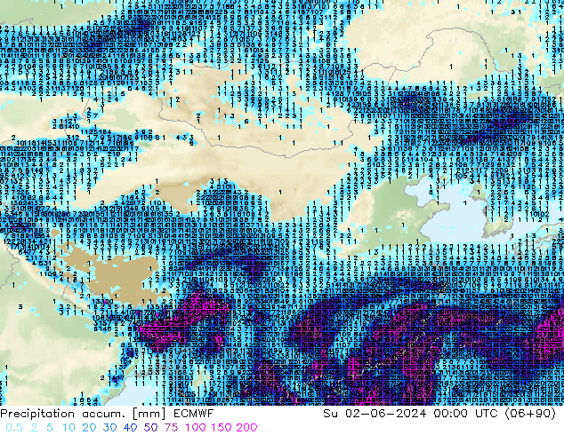 Toplam Yağış ECMWF Paz 02.06.2024 00 UTC