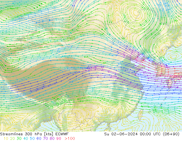 Streamlines 300 hPa ECMWF Su 02.06.2024 00 UTC