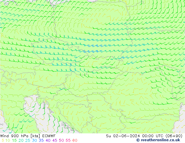 Rüzgar 900 hPa ECMWF Paz 02.06.2024 00 UTC