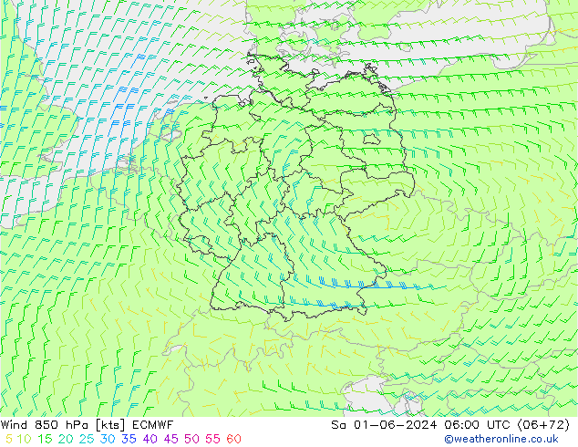 wiatr 850 hPa ECMWF so. 01.06.2024 06 UTC