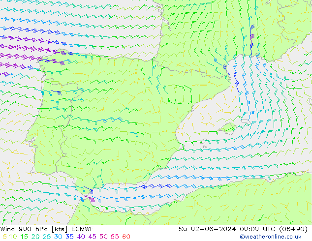 Vento 900 hPa ECMWF Dom 02.06.2024 00 UTC