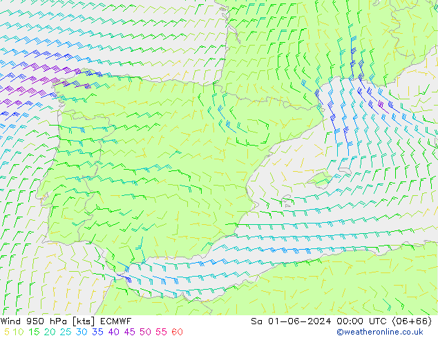 Rüzgar 950 hPa ECMWF Cts 01.06.2024 00 UTC