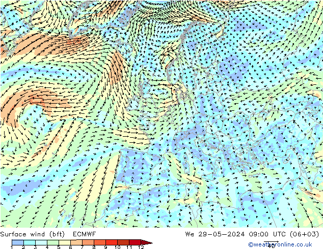 Vent 10 m (bft) ECMWF mer 29.05.2024 09 UTC