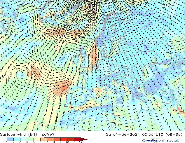 Bodenwind (bft) ECMWF Sa 01.06.2024 00 UTC