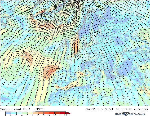 Surface wind (bft) ECMWF Sa 01.06.2024 06 UTC