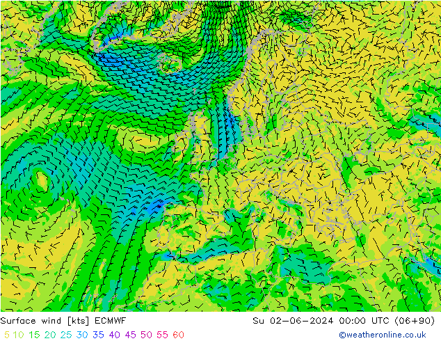 Bodenwind ECMWF So 02.06.2024 00 UTC