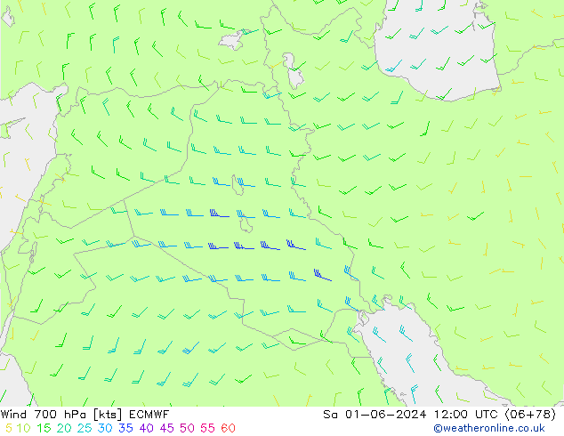 Wind 700 hPa ECMWF Sa 01.06.2024 12 UTC