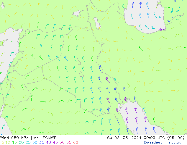 Viento 950 hPa ECMWF dom 02.06.2024 00 UTC