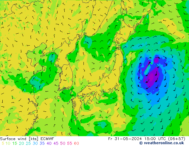  10 m ECMWF  31.05.2024 15 UTC