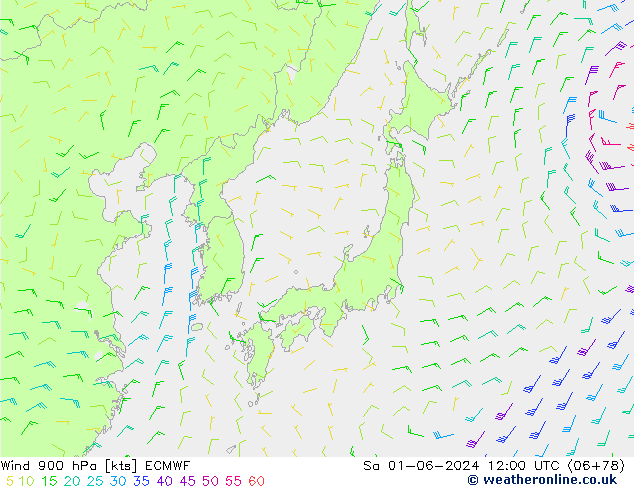 Wind 900 hPa ECMWF So 01.06.2024 12 UTC