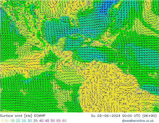 ветер 10 m ECMWF Вс 02.06.2024 00 UTC