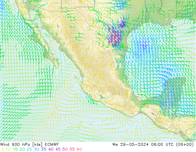 Wind 900 hPa ECMWF wo 29.05.2024 06 UTC